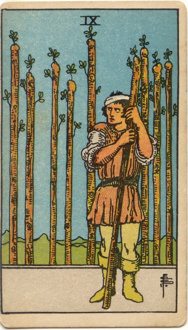 Nine of Wands tarot card