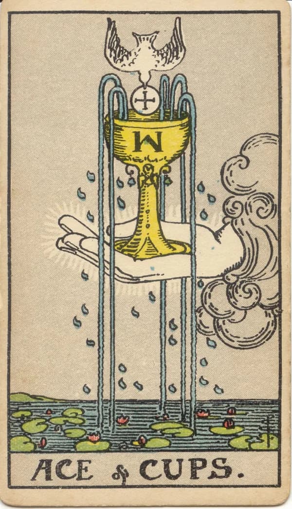 Ace of Cups tarot card