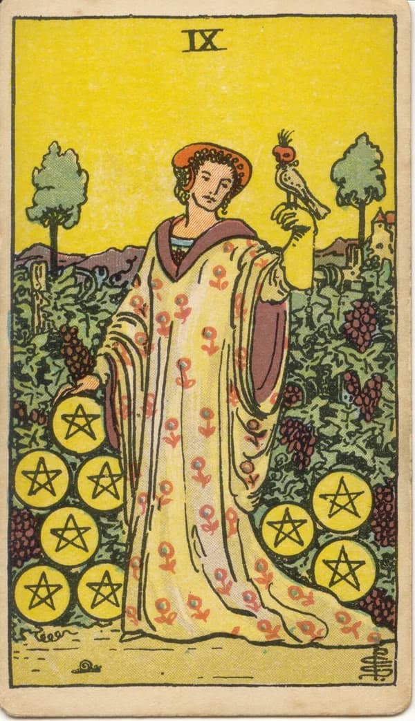 Nine of Pentacles tarot card